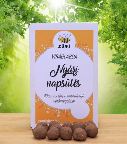 Nyári napsütés viráglabda törpe napraforgó vetőmagokkal 