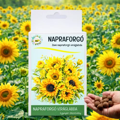 Napraforgó viráglabda 6 db.-os -napraforgó vetőmaggal