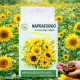 Napraforgó viráglabda 6 db.-os -napraforgó vetőmaggal