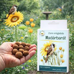 Madárbarát vetőmag viráglabda – virágzó kert madaraknak, természetközeli élőhely kialakítása könnyedén