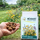 Méhbarát vetőmag viráglabda – méheket vonzó virágos kert egyszerűen
