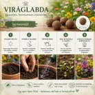  Méhbarát viráglabda 6 db (méhbarát  vetőmag keverékkel)
