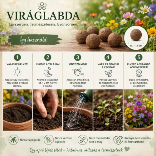  Méhbarát viráglabda 6 db (méhbarát  vetőmag keverékkel)