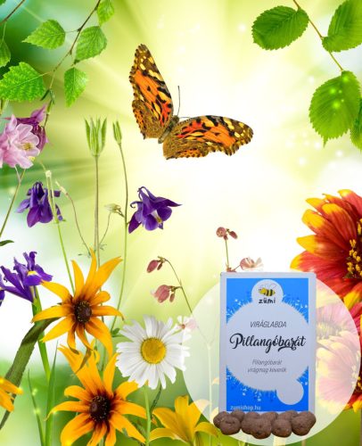 Zümi " Pillangóbarát "   viráglabda 10 db ( Pillangóbarát évelő vetőmagkeverékkel)