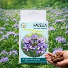 Facélia viráglabda  (Egynyári mézontófű virágmaggal) 6 db