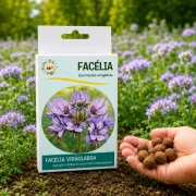   Facélia viráglabda  (Egynyári mézontófű virágmaggal) 6 db