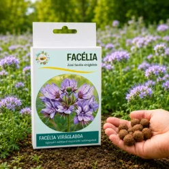   Facélia viráglabda  (Egynyári mézontófű virágmaggal) 6 db