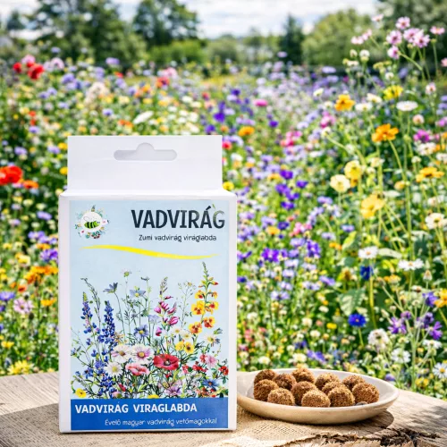 Vadvirág vetőmag viráglabda – színes vadvirágos kiskert egyszerűen
