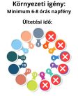 Facélia viráglabda  (Egynyári mézontófű vetőmaggal) 6 db