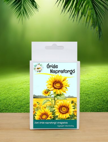Zümi 6 db.-os Óriás napraforgós viráglabda -óriás napraforgó vetőmag