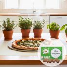 Pizza fűszerkert viráglabda (Fűszernövény vetőmag mix)