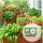 Salátabár viráglabda  (tépősaláta vetőmag mix)