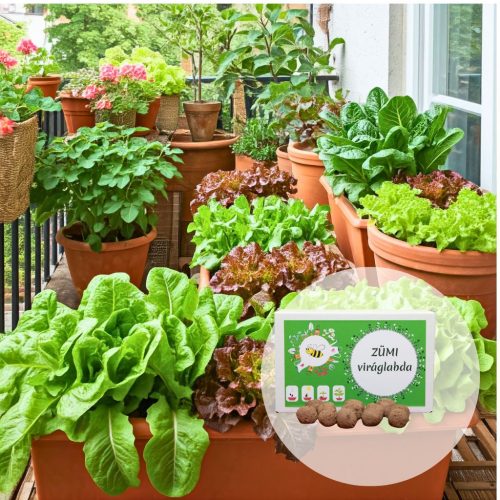 Salátabár viráglabda  (tépősaláta vetőmag mix)