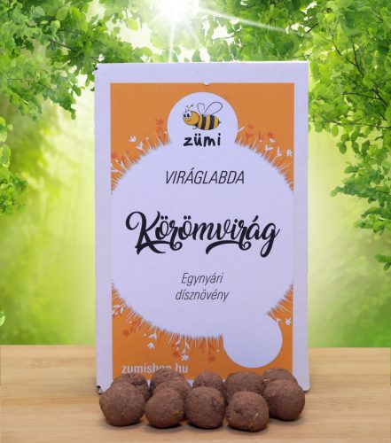 Körömvirág viráglabda 12 db (egynyári körömvirág vetőmaggal)