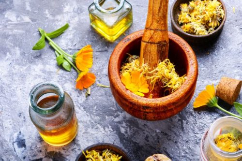 Körömvirág viráglabda 12 db (egynyári körömvirág vetőmaggal)