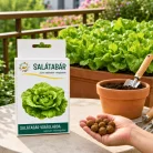 Salátabár viráglabda – tépősaláta termesztése balkonkertben, cserépben és balkonládában