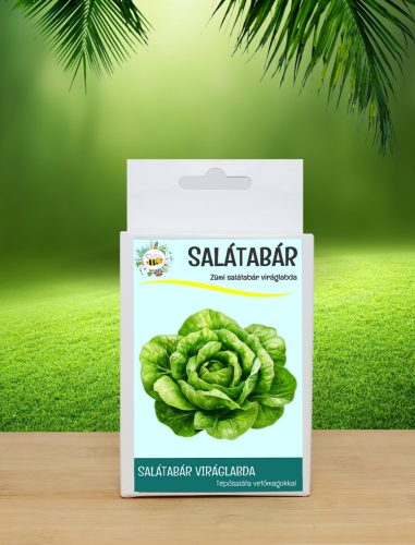6 db Salátabár viráglabda  (tépősaláta vetőmag mix)