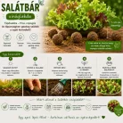 6 db Salátabár viráglabda  (tépősaláta vetőmag mix)