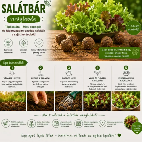 6 db Salátabár viráglabda  (tépősaláta vetőmag mix)