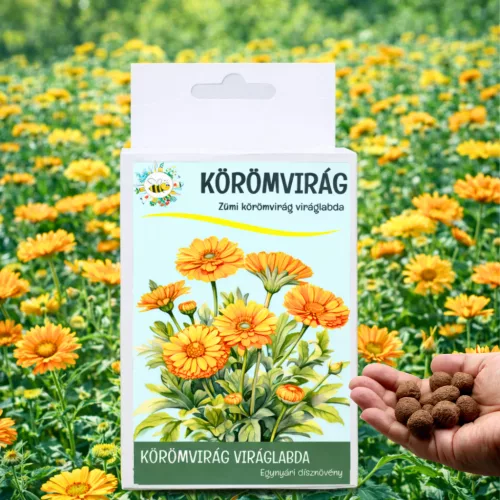 6 db Körömvirág viráglabda (egynyári körömvirág vetőmaggal)