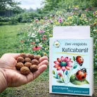 Katicabarát vetőmag viráglabda – vegyes virágok katicák és hasznos rovarok számára