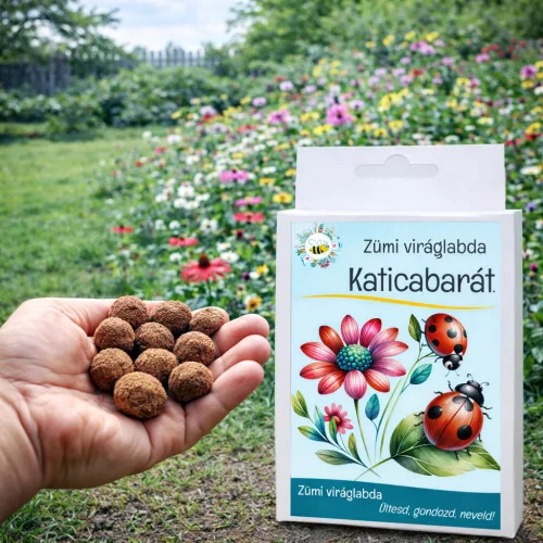 Katicabarát vetőmag viráglabda – vegyes virágok katicák és hasznos rovarok számára