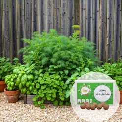  Fűszerkert viráglabda (Fűszernövény vetőmag mix) 12db