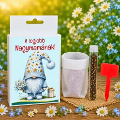 Legjobb Nagymamának feliratos vetőmag ajándékdoboz - virágzó meglepetés nagymamáknak - Zümishop