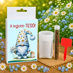 Legjobb Tesó Feliratos vetőmag ajándékdoboz