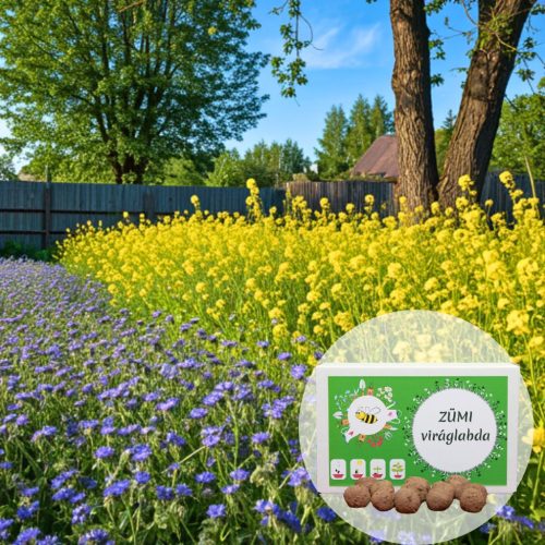 Zöld erő viráglabda 12 db (Talajjavító hatású és méhbarát  növények)