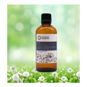 Szépségápolás és Wellness