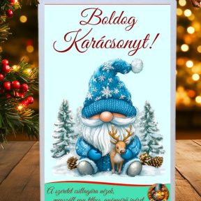 Karácsonyi ajándékok