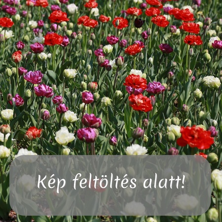 Hóember formájú falidísz