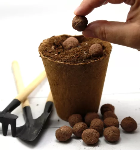 Karácsonyi feliratos doboz választható viráglabdával (HOHOHO)