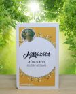 Mikrozöld mustár  kémcsőkert (Lakásban is ültethető, mustár mikrozöld vetőmag )