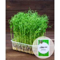   Mikrozöld borsó kémcsőkert (Egész évben felhasználható, borsó mikrozöld vetőmag)