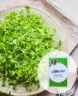 Mikrozöld lucerna kémcsőkert (Lakásban is termeszthető lucrna mikrozöld vetőmag)
