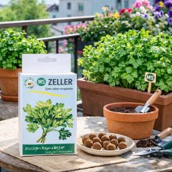 Zeller vetőmag viráglabda – friss zeller termesztése balkonkertben, cserépben és balkonládában