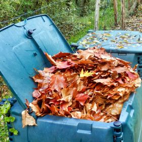 Így komposztálj a kertedben ősszel is 