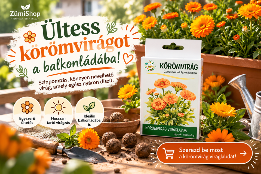 koromviragviraglabda.png